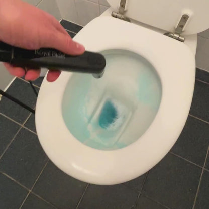 Royal Bidet V2
